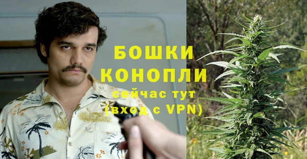 соль ск Верхний Тагил