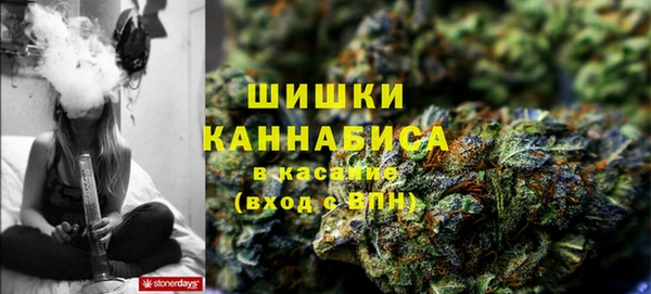 дживик Верея